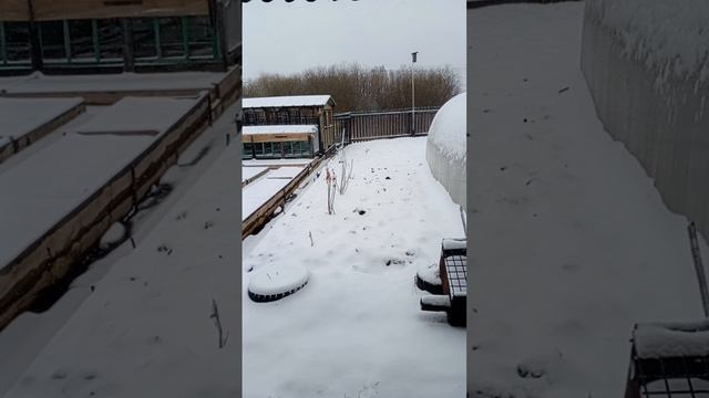 Моя жизнь на пенсии