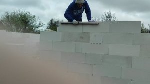 Дом мечты. 231 день