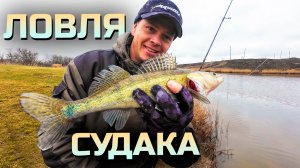 Наноджиг. Ловля Судака и Окуня!  Ногайские озера!