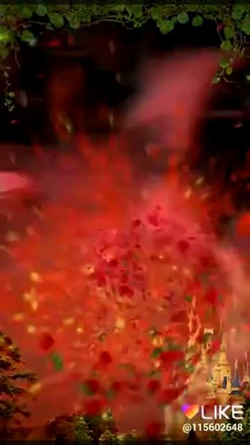 26 июля 2018 г.