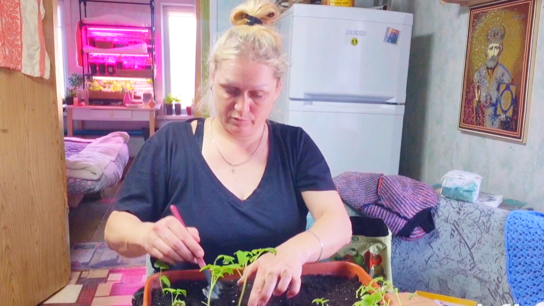 ПРО МОГИЛУ СЫНА😪ПРО РАССАДУ,ЧТО КУПИЛА