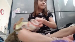 Новая одежда