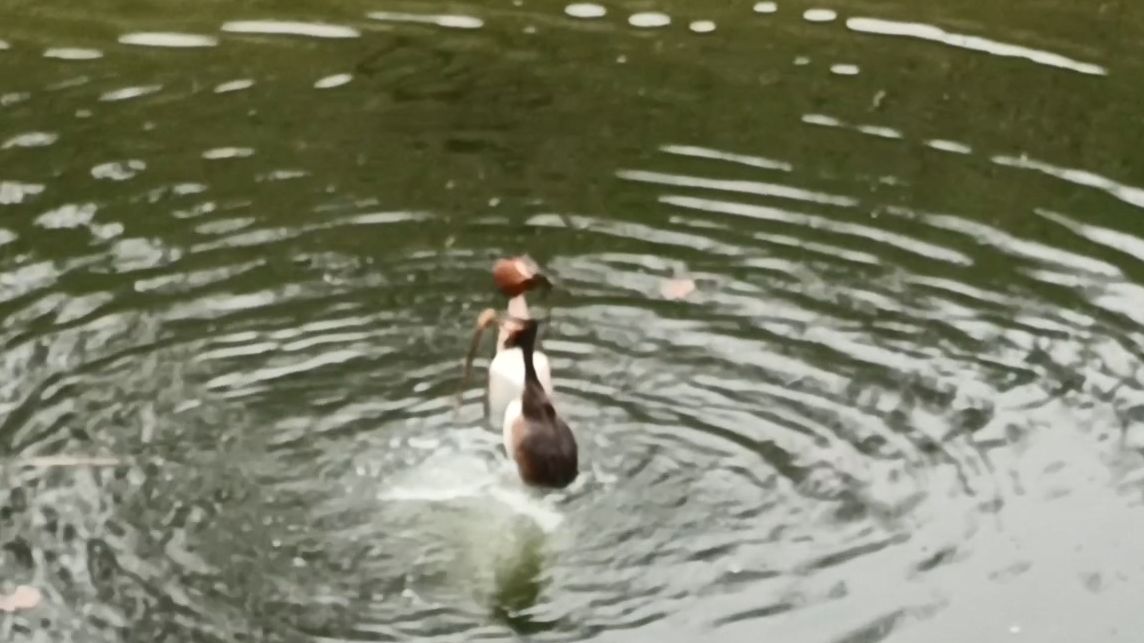 Весна в Москве. Парк 