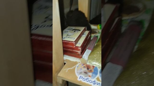 УБОРКА СТОЛА