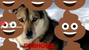 спасибо Буся