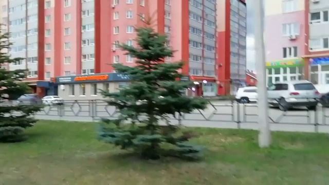 Не найдёте здесь подснежников