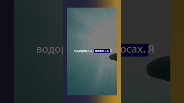 🌊 Megamare Orto Parisi: Там, где кончается суша...