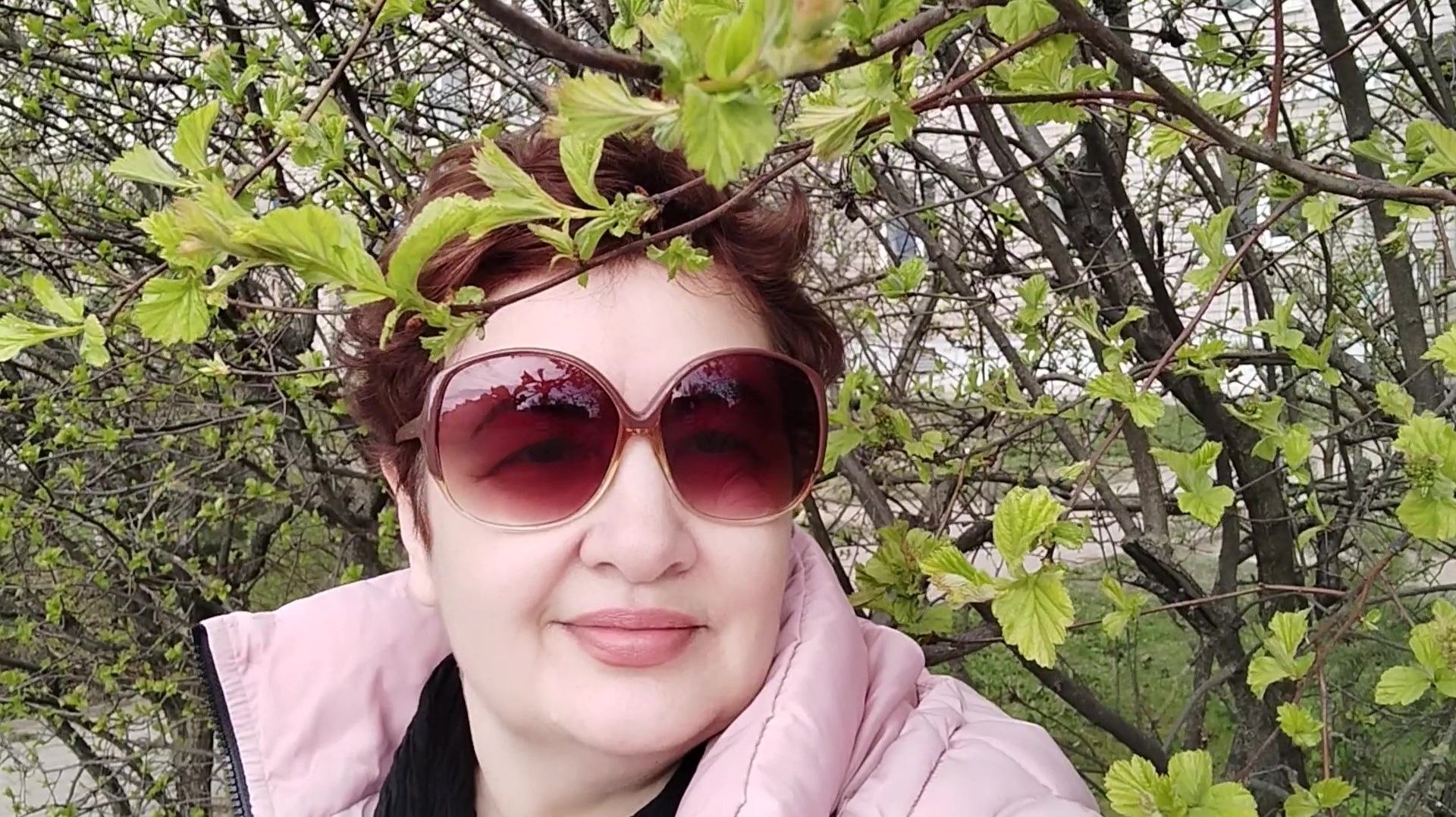 Первая зелень/Муж уехал в клинику/Готовлю