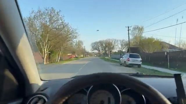 Жизнь вне орхидей -  наконец вернулся в дом на Юге ： ВСЁ ЗАРАСЛО и ЦВЕТЁТ