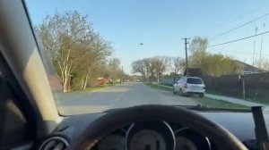 Жизнь вне орхидей -  наконец вернулся в дом на Юге ： ВСЁ ЗАРАСЛО и ЦВЕТЁТ