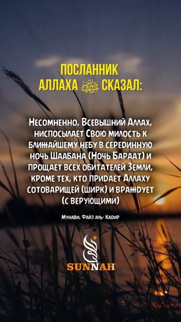 Ночь Бараат!❤️ #хадис #hadis  #пророкмухаммадﷺ #ночьбараат #ислам