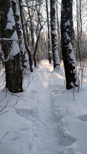 По дорожке. Зима 2026