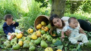 Мама поневоле. Дуонг. Сбор фруктов для продажи. Готовлю питательную кашу для младенцев. Серия 127