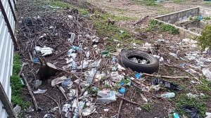 Национальный парк "Кисловодский".17.04.2026 г.