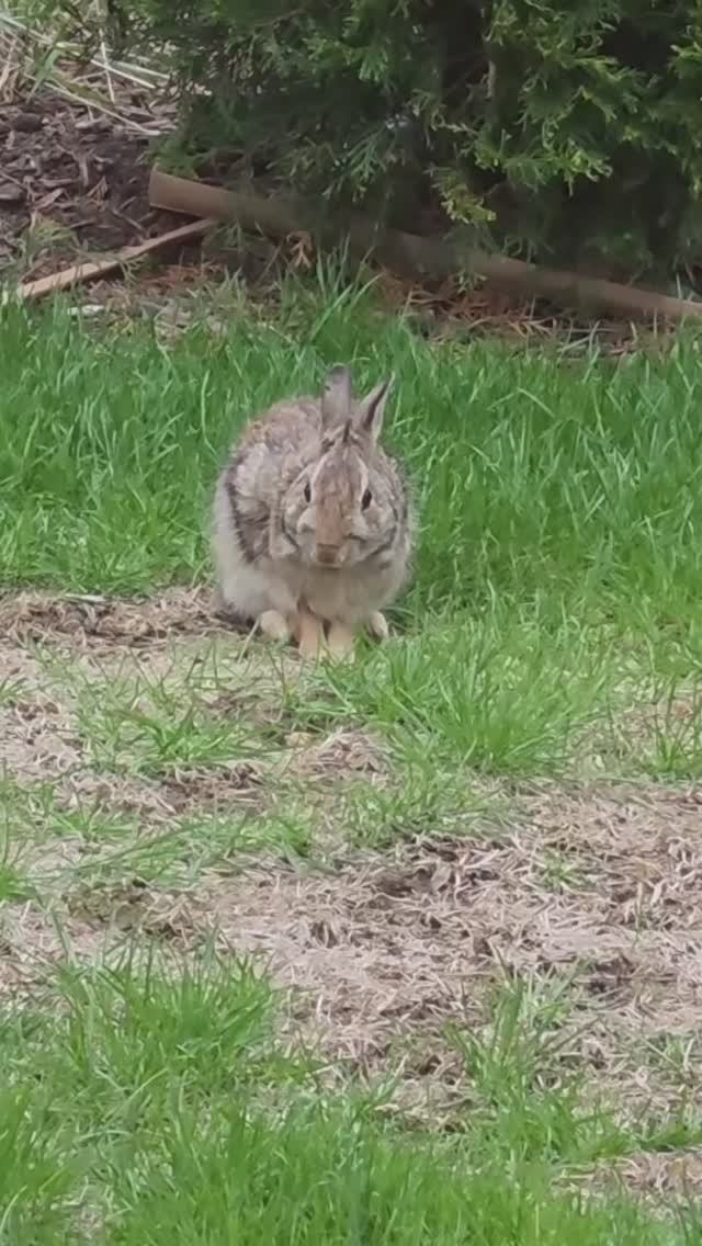 Лора Винтаж- У нас Гости!