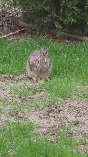 Лора Винтаж- У нас Гости!