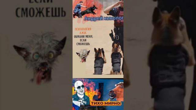 Воскресенье с Савелием