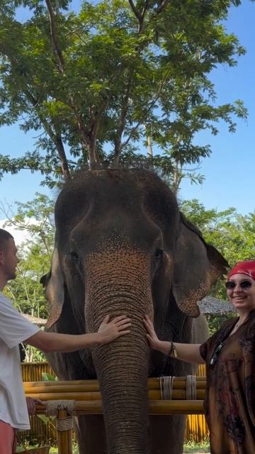 Экскурсия к Слонам