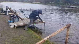 Светлые Горы Форель 19.04.2026г.