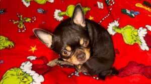 Доброго всем утречка и легкого понедельника.