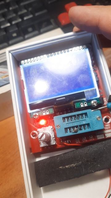 Васька нажал на стоп видео своим носом