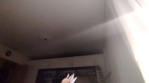 на что я потратила 1 час......