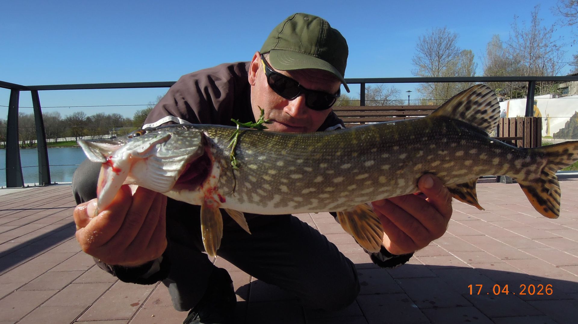 Щука на поплавок.На живца.