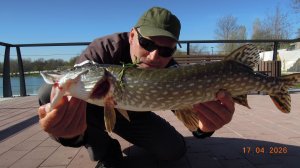 Щука на поплавок.На живца.