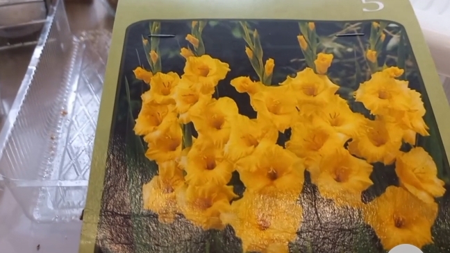 дождь зашел погостить)))день пошел не по плану))) хлебушек пекательный🥰