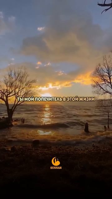 #альхамдулиллах