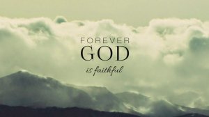 Бракосочетание 19.04.2026   Никита&Вика