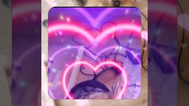 1000056395.mp4 (Собака наблюдает за устройством лестницы на 2-ой этаж в доме А-фрейм)