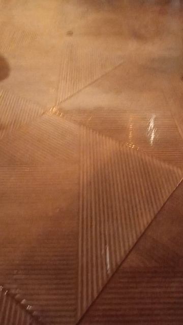 коты в Турции