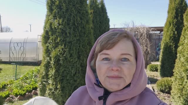 Дача 20.04.26г.🏡Укорачиваем ёлку, мульчирую гортензии!🌲