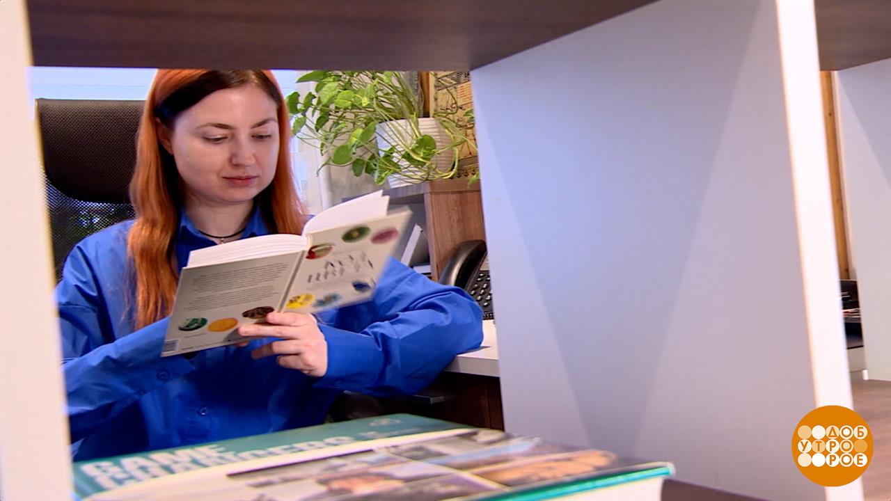 Цвет настроения... какой? Доброе утро. Фрагмент выпуска от 20.04.2026