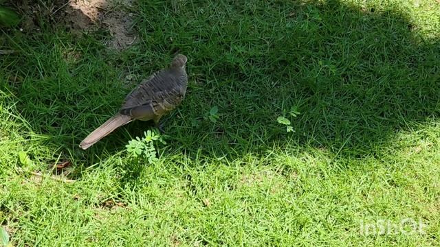 BAMBOO VILLAGE BEACH RESORT &SPA HOTEL 4*,Обзор территории, Вьетнам,курортный район Муйне