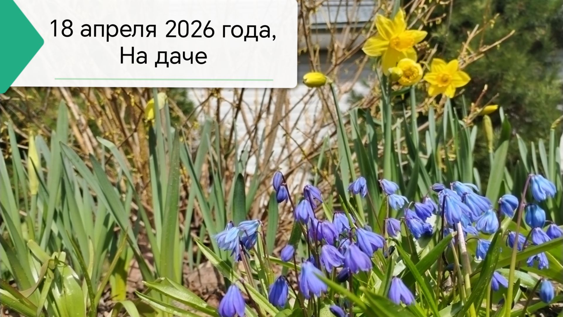 18 апреля 2026 года, суббота, работаем на даче, #18апреля, #на_даче, #работывтеплице, #наша_теплица