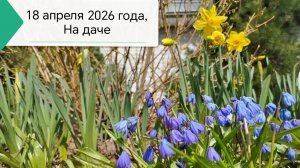 18 апреля 2026 года, суббота, работаем на даче, #18апреля, #на_даче, #работывтеплице, #наша_теплица
