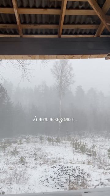 Весна пришла, а нет, показалось 😅🌸 #весна #погода