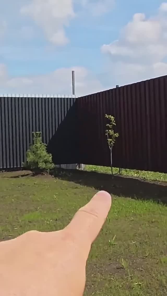 Посеяли газон и вот что получилось #стройка