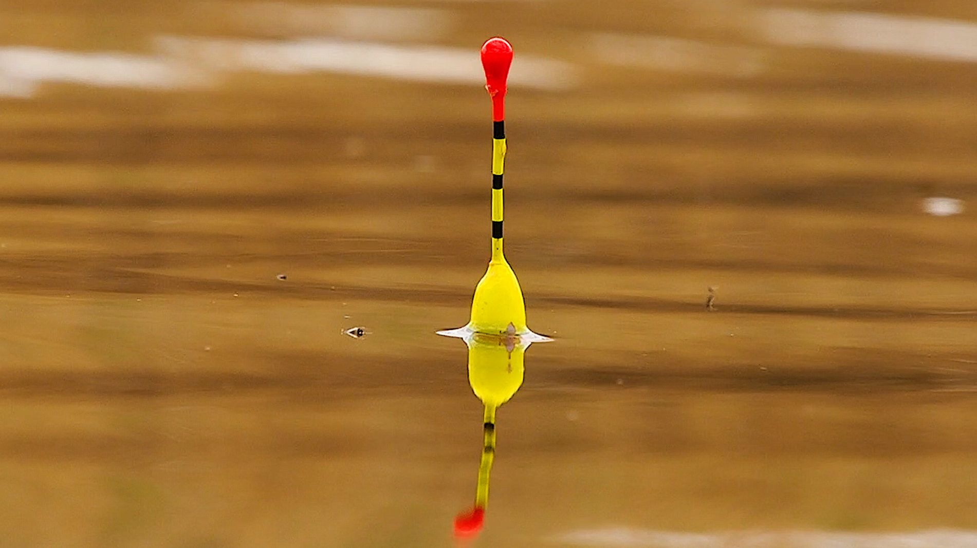 Первая рыбалка на поплавок 2026. Не ожидал ТАКОГО клева карася! ПОПЛАВОК КРУПНЫМ ПЛАНОМ