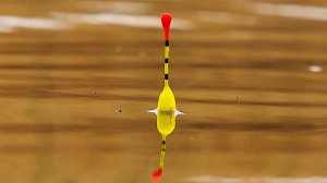 Первая рыбалка на поплавок 2026. Не ожидал ТАКОГО клева карася! ПОПЛАВОК КРУПНЫМ ПЛАНОМ