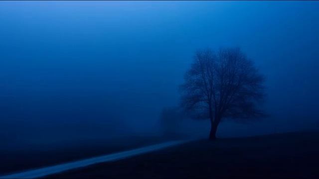 Все хорошо. Теперь можно отдохнуть. Музыкальный плейлист