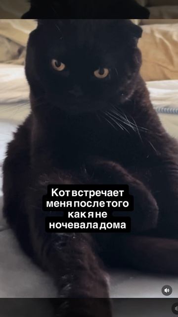 Кажется он чем то недоволен