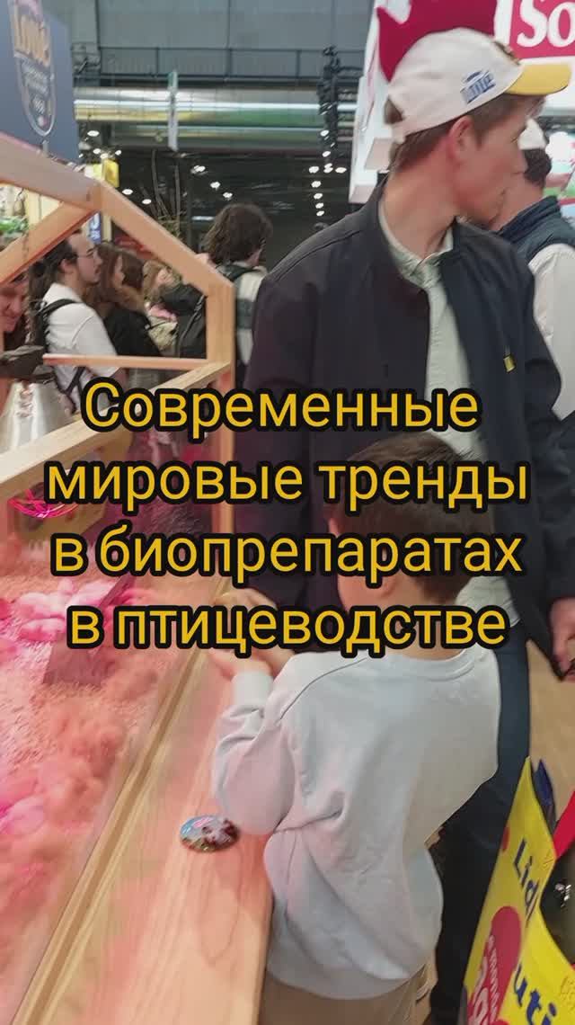 Современный тренд в птицеводстве