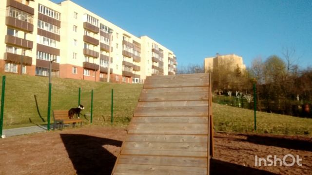 InShot_20260419_100133708.mp4