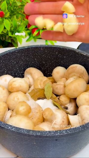 Quick Pickled Champignons 🍄