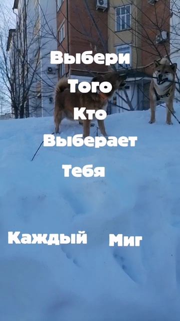 Lv_0_20260420174823.mp4