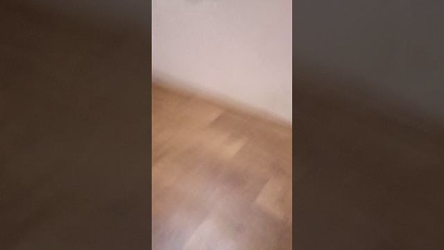 Попиплэйттайм