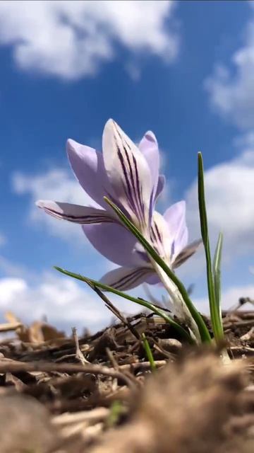 #katyboro #видеооткрытка      #рекомендации #врек #топ #врекомендации